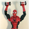 shoulder press exercise